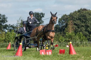 dressuur en vaardigheid  nienoord 10-8-2015  joshua keller-0098      